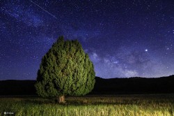 Teruel Celeste